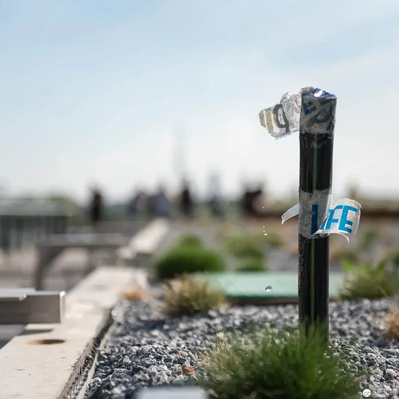 Perspiring Water Bottle Suspended on Monochromatic Gravel Roofscape
