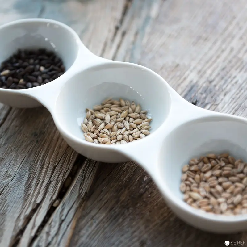 White Ceramic Spoon Dish Displaying Three Varieties of Whole Seeds