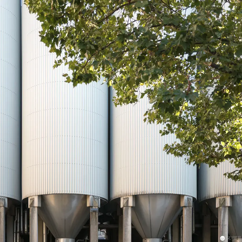 Industrial Fermentation Tanks Framed by Tree Foliage in Soft Natural Light