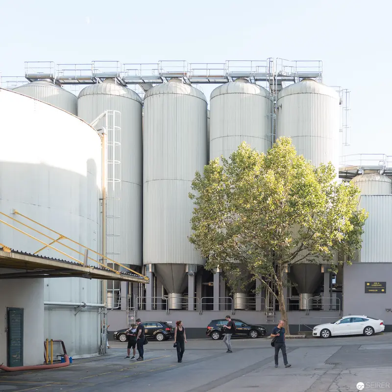 Industrial Landscape with Storage Silos and Parked Vehicles Near Leafy Tree