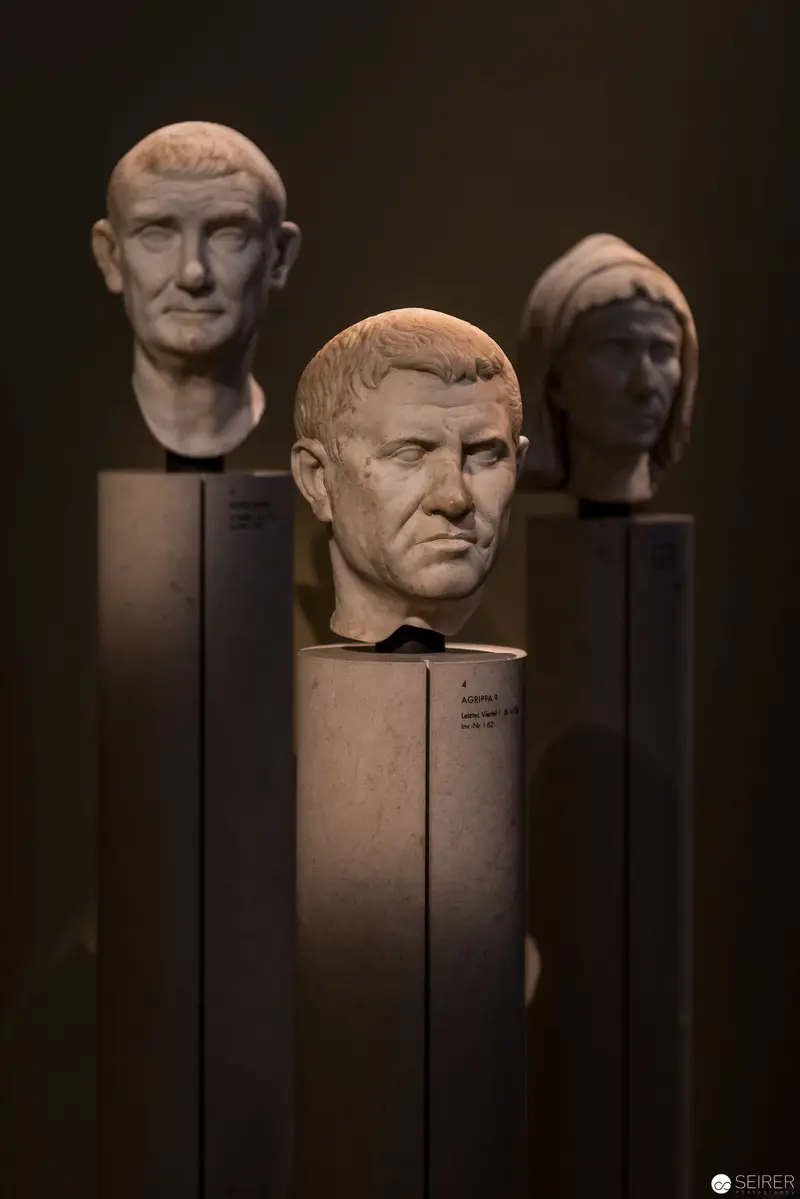 Roman Marble Portrait Busts Arranged on Dark Pedestals in Contemplative Composition