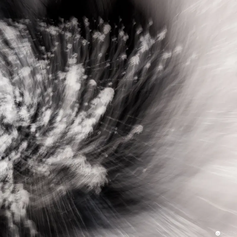 Alfons Schilling at Westlicht: Dynamic Motion Study in Monochrome Blur