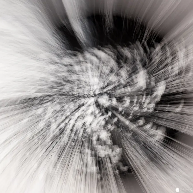 Alfons Schilling at Westlicht: Radial Motion Study in Monochrome Abstraction