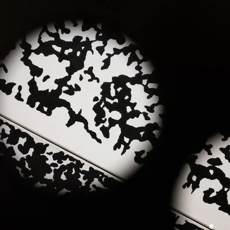 Alfons Schilling at Westlicht: Silhouetted Abstract Shadow Composition, 2017