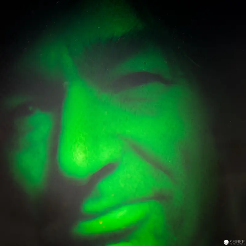 Alfons Schilling at Westlicht: Luminescent Green Portrait Study, 2017