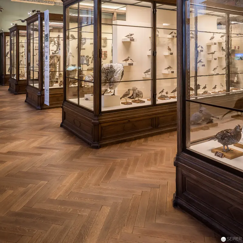 NHM Vienna Natural History Museum: Ornithological Specimen Display in Herringbone Parquet Gallery