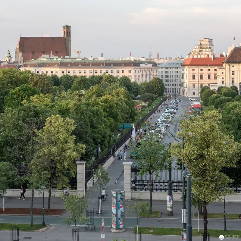 Urban Landscape of Vienna: Tree-Lined Avenue with Historic Architecture and Civic Spaces