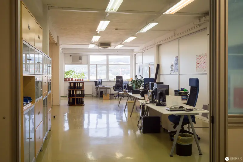 Modern Open-Plan Office Interior with Minimalist Workstations and Natural Lighting