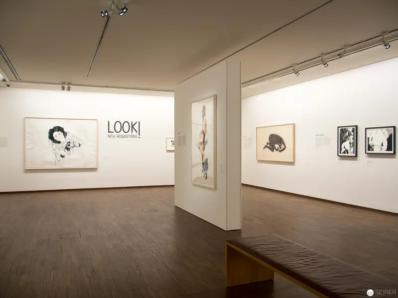 "LOOK! Exhibition at Albertina: Minimalist Gallery Space with Contemporary Artworks"