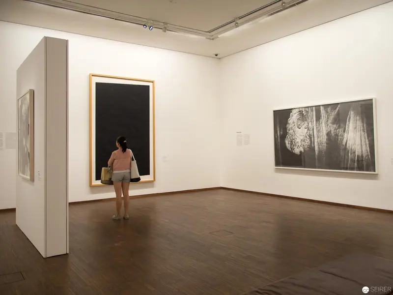 Solitary Viewer at New Acquisitions Exhibition in Albertina Museum, Vienna