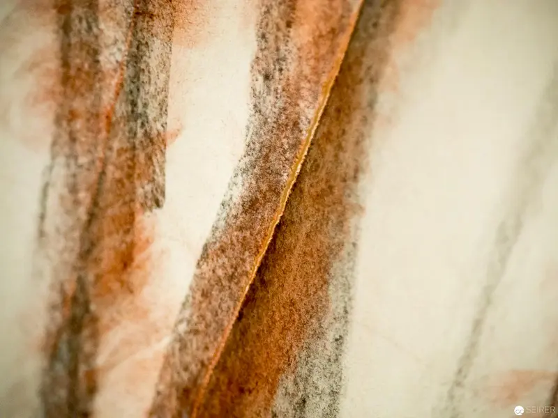 Abstract Macro Study of Organic Textures and Oxidative Patterns