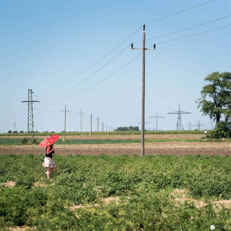 Solitary Figure with Red Umbrella Amid Electrical Towers and Agricultural Landscape