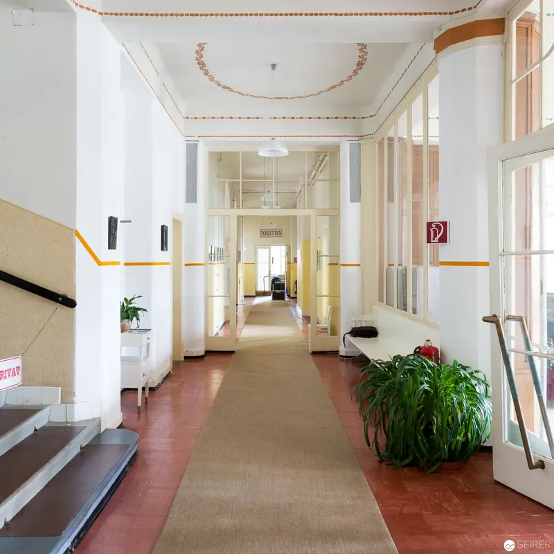 Minimalist Interior Hallway with Organic Plant and Architectural Symmetry