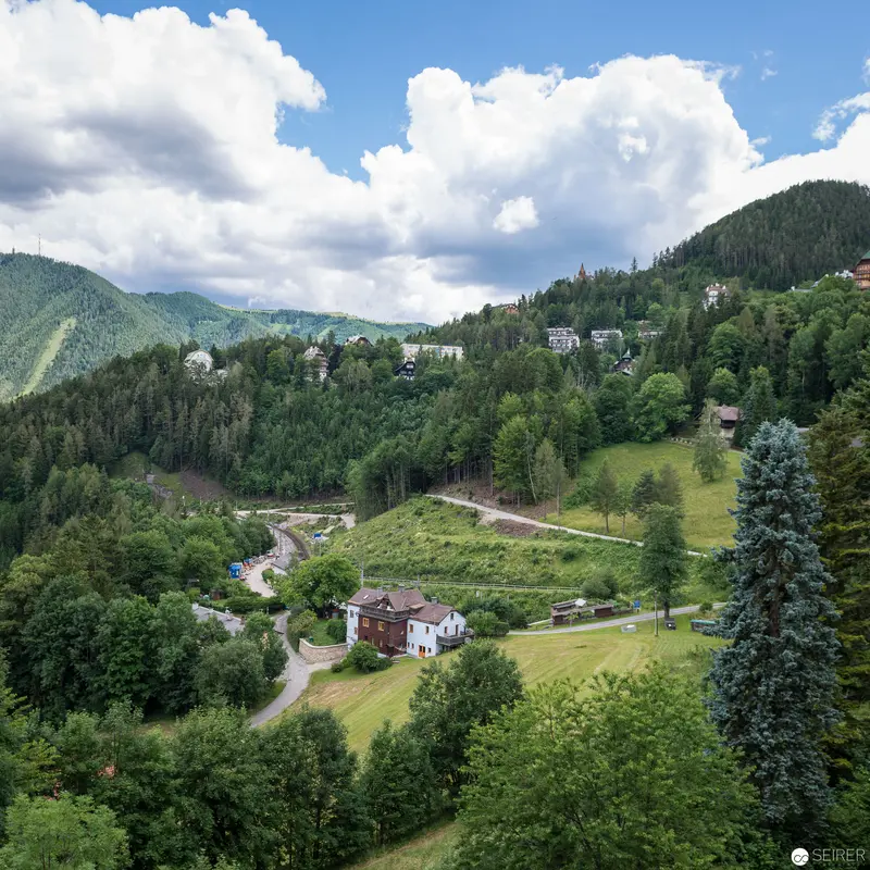 Alpine Landscape with Forested Mountainside and Scattered Rural Architecture