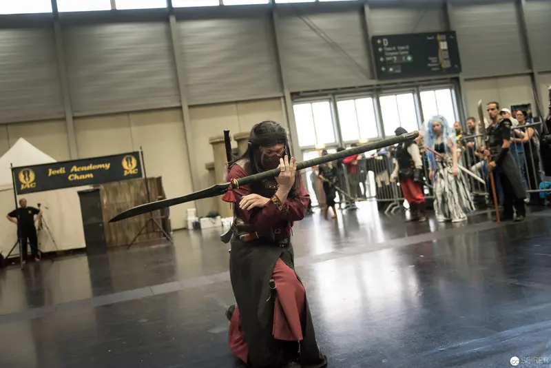 Klingenspiel Historical Fencing Performance, Vienna ComicCon 2017