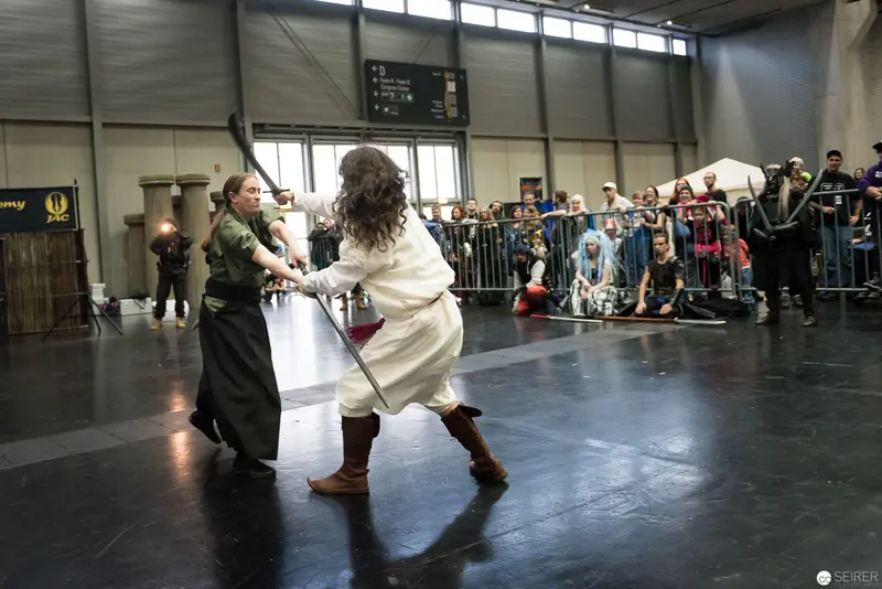 Klingenspiel Historic Fencing Demonstration in Vienna Indoor Performance Space
