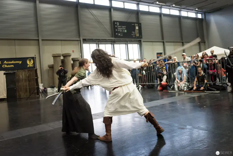 Historic Fencing Demonstration at Klingenspiel Performance in Vienna Indoor Arena