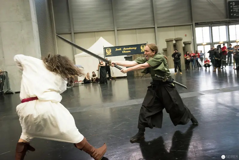 Klingenspiel Demonstration of Historical Fencing at Vienna Performance Venue