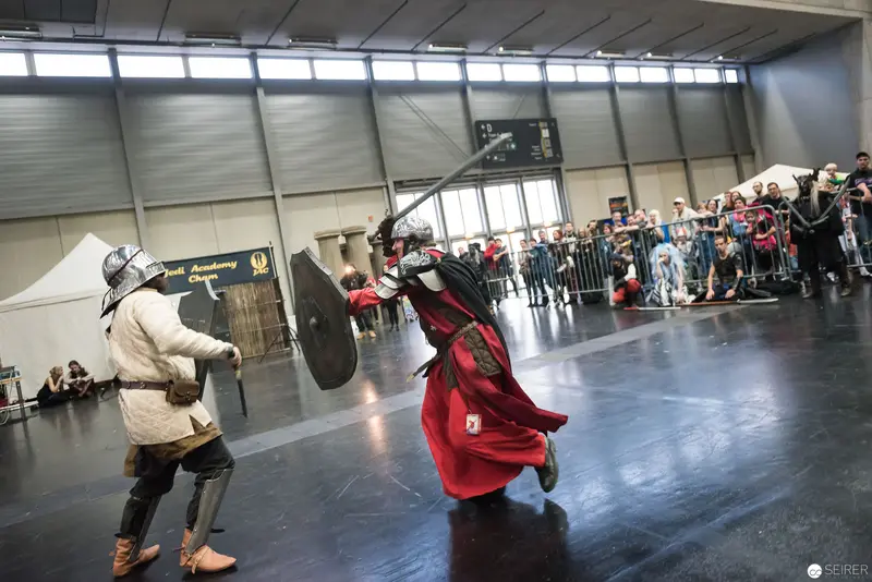 Klingenspiel Historic Fencing Performance: Medieval Combat Demonstration in Vienna