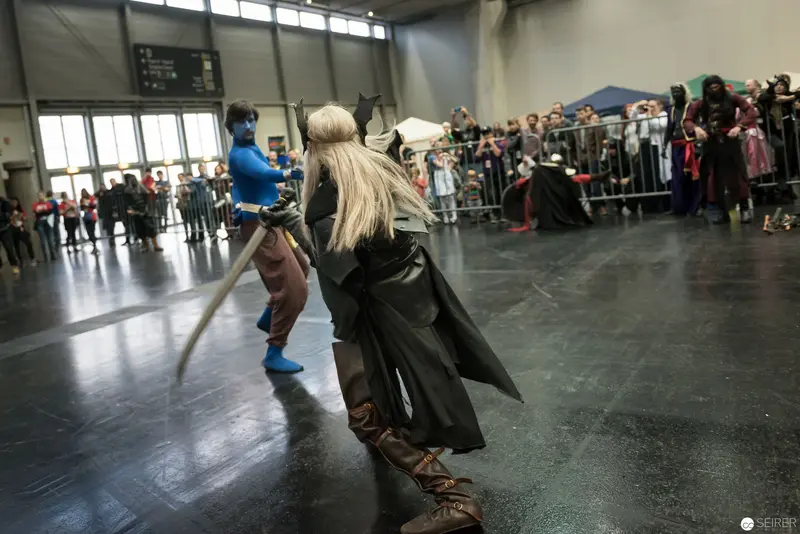 Klingenspiel Fencing Performance: Costumed Performers in Historic Combat Stance