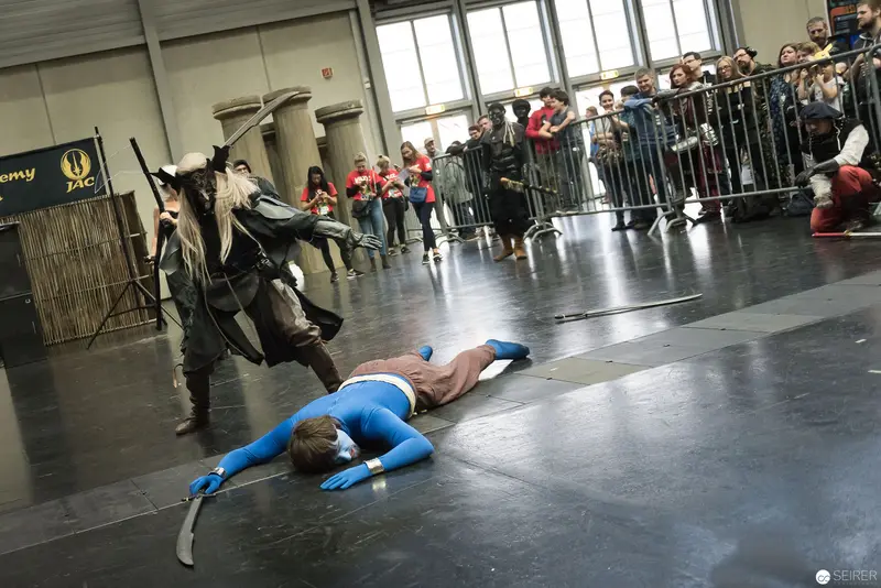 Klingenspiel Fencing Performance: Dramatic Encounter Between Costumed Performers