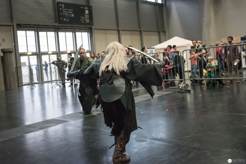 Historic Fencing Performance at Vienna Event: Costumed Performer in Dynamic Pose
