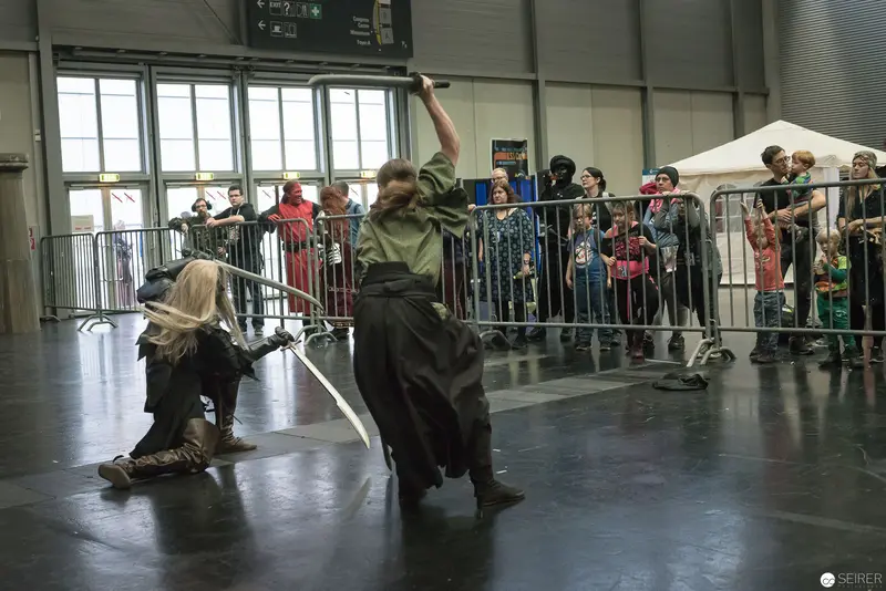 Klingenspiel Historic Fencing Performance: Dramatic Sword Encounter at Vienna Event