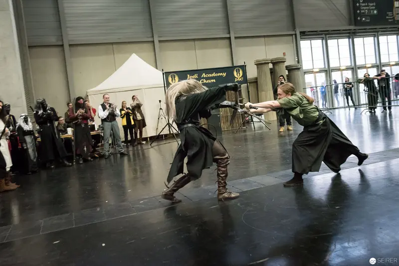 Klingenspiel Historic Fencing Demonstration at Vienna Performance Event