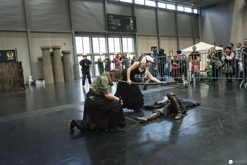 Klingenspiel Historic Fencing Performance: Dramatic Combat Tableau at Vienna Event