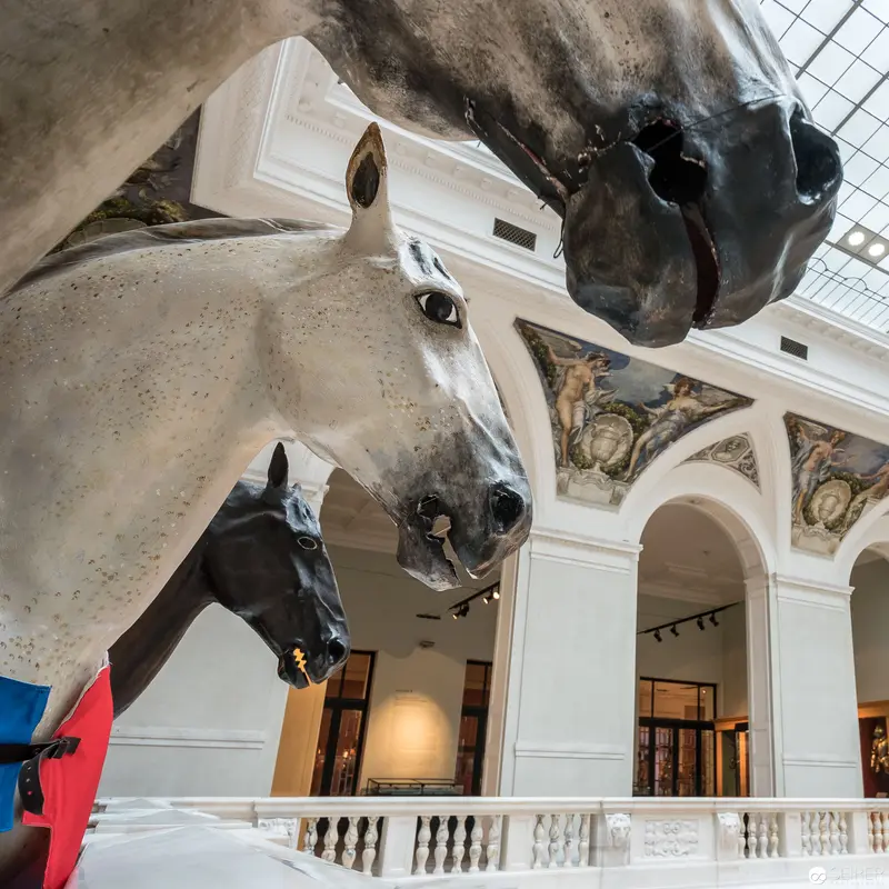 Monumental Horse Sculptures Confronting Space in Neoclassical Museum Interior
