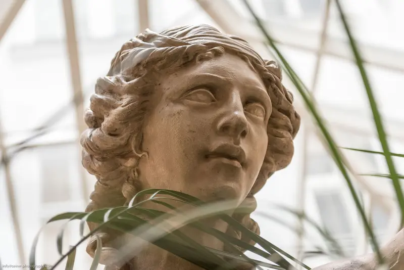 Classical Stone Sculpture of Curly-Haired Figure Amid Botanical Setting