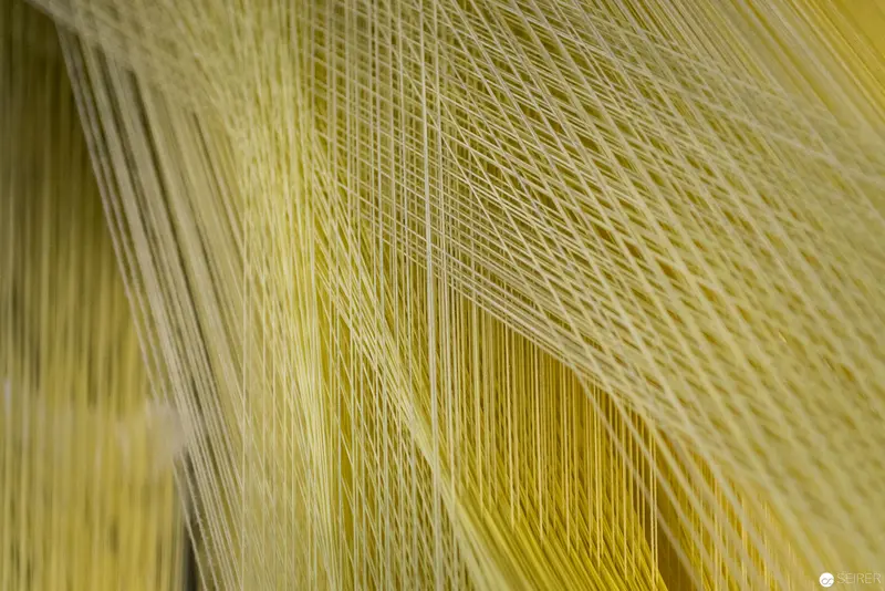 Intricate Pale Yellow Fiber Network with Delicate Linear Intersections
