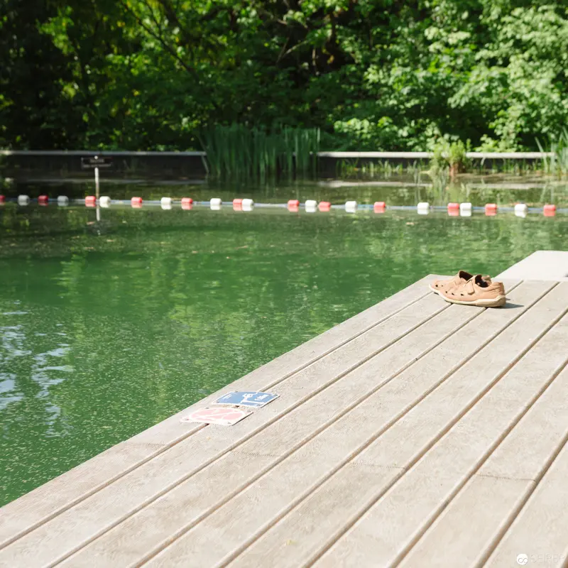 Wooden Deck at Green Swimming Pool with Lone Shoe and Safety Markers