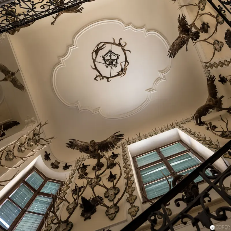 Ornate Ceiling with Intricate Bird Motifs and Antler Decorations in Schloss Eckartsau
