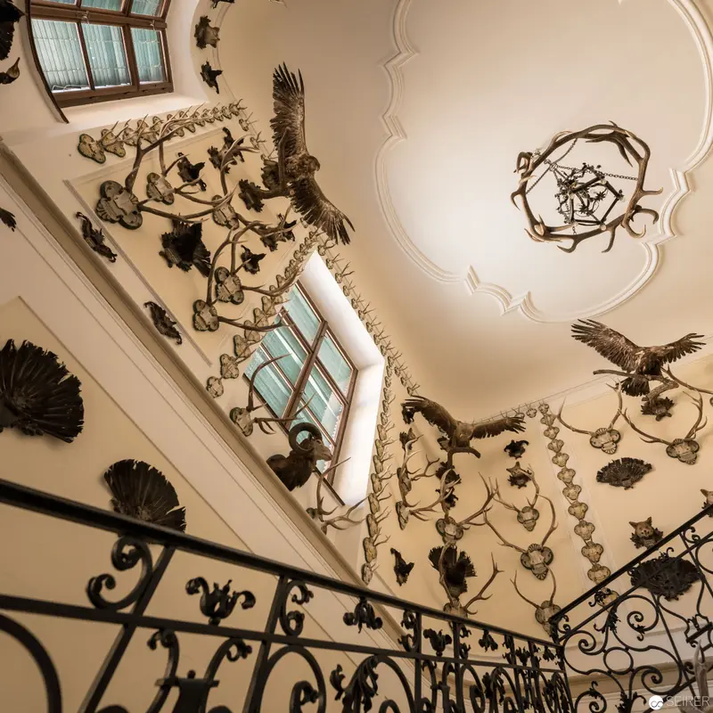 Ornate Stairwell with Decorative Avian Motifs at Schloss Eckartsau