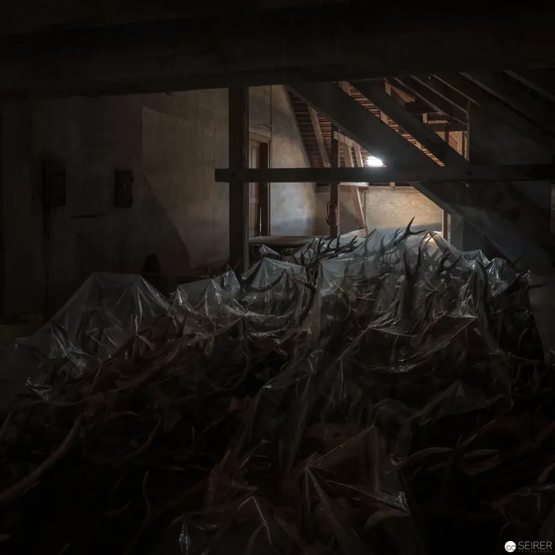 Draped Shadows: Architectural Stillness in Dilapidated Interior Space