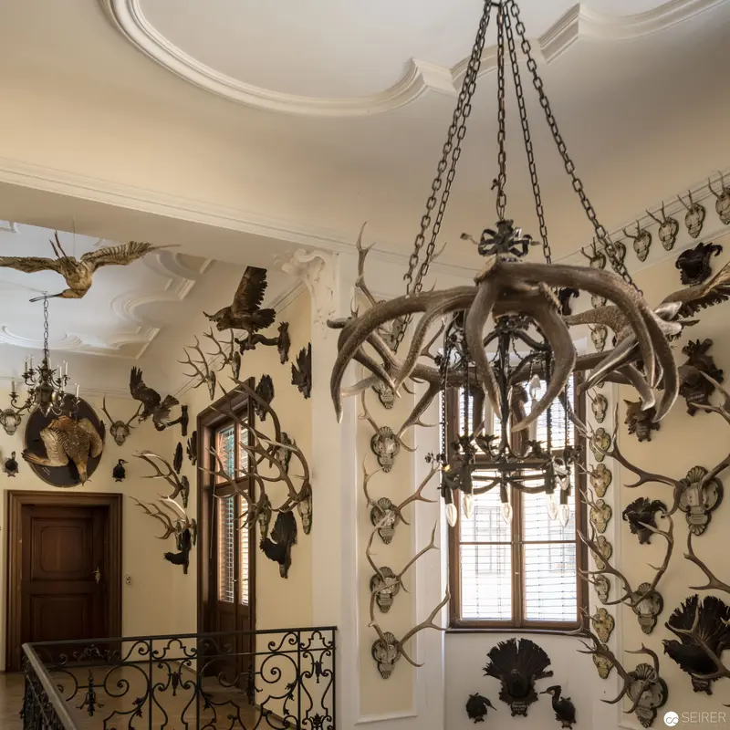 Hunting Trophy Room with Antler Chandelier at Schloss Eckartsau