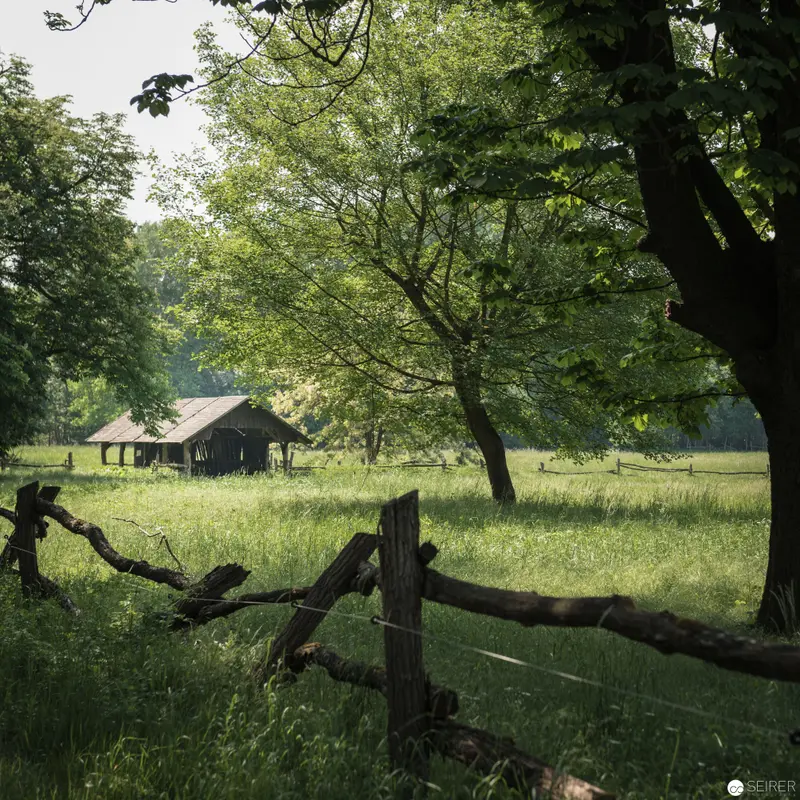 Rural Pastoral Scene with Weathered Barn and Wooden Fence in Lush Meadow