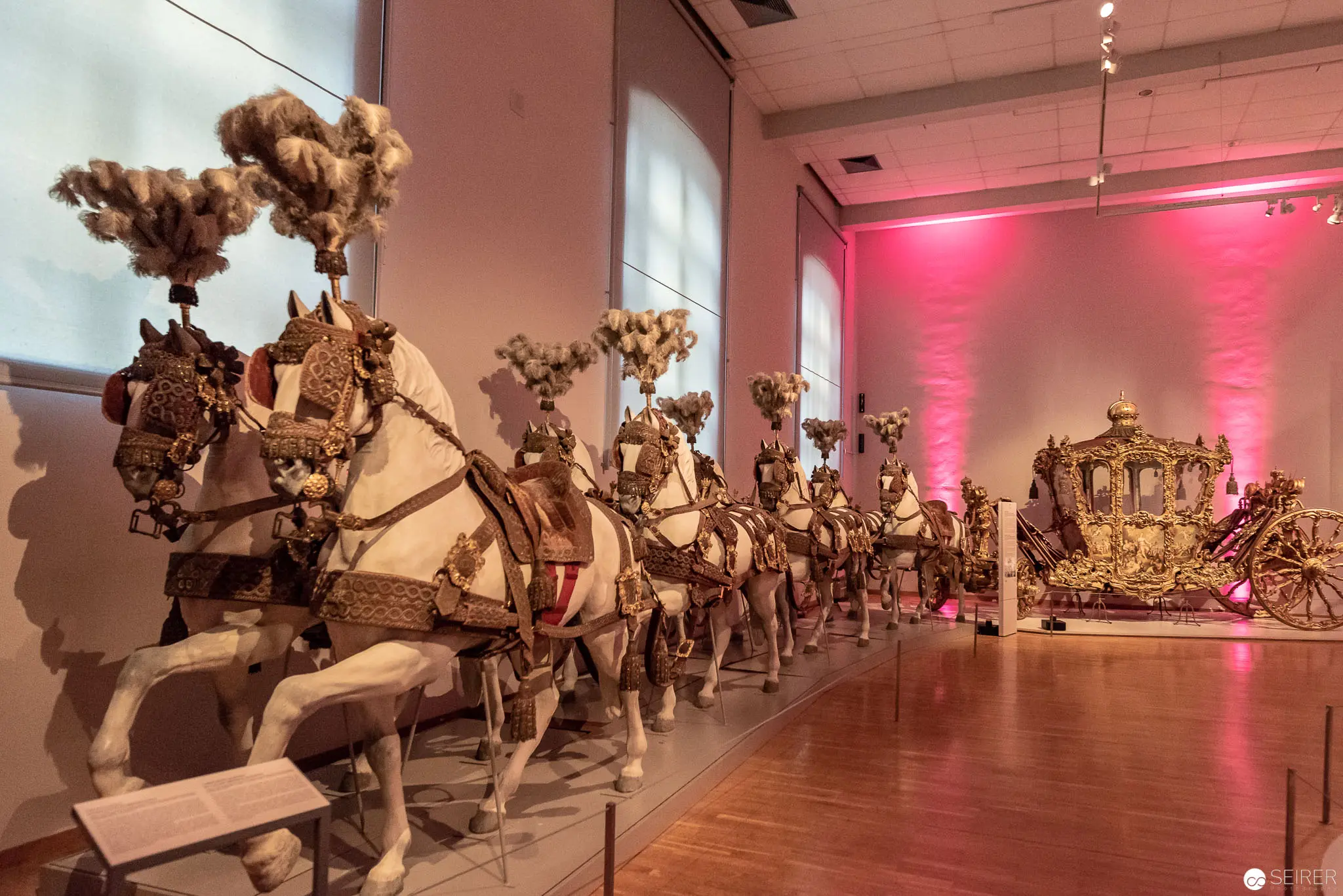 Imperial Habsburg Coronation Carriage and Horse Ensemble in Museum Display