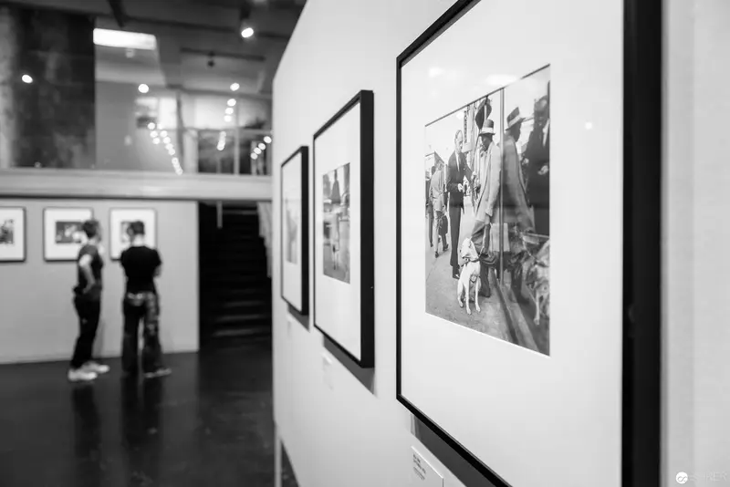 Gallery Interior with Black and White Photographic Exhibition Display
