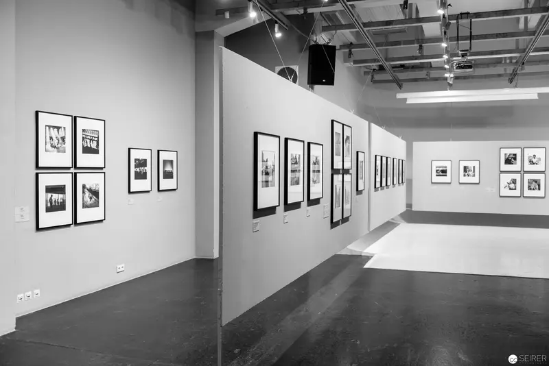 Monochromatic Gallery Installation with Framed Black and White Photographic Prints