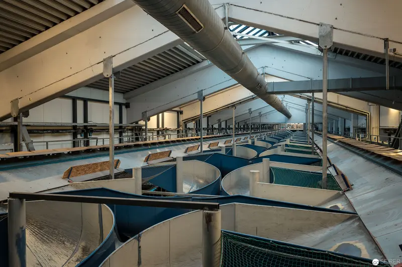 Industrial Aquaculture Facility with Complex Infrastructure and Circular Tanks