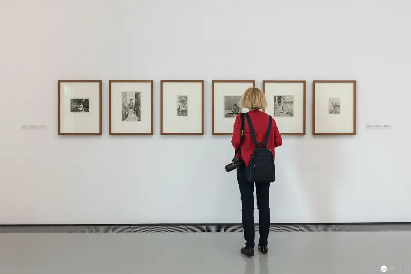 Eva Hofmann Exhibition at Kunsthalle Krems: Solitary Viewer Contemplates Monochrome Prints