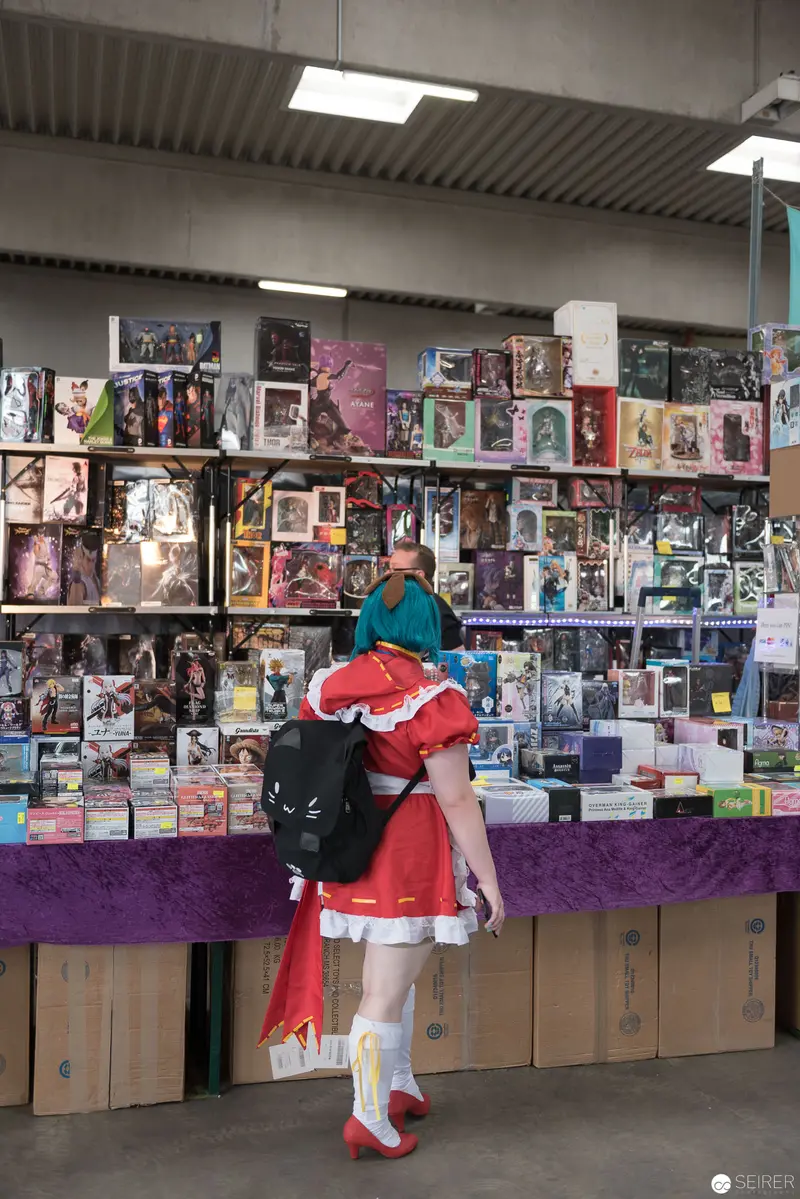 Costumed Attendee Browsing Merchandise at AniNite 2018 Graphic Novel Exhibition