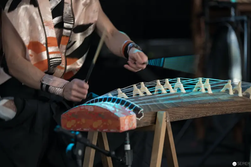 Musical Instrument Construction with Blue-Tinted String Arrangement at Performance Event