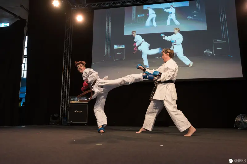 Martial Arts Demonstration of Dynamic Taekwondo High Kick on Stage
