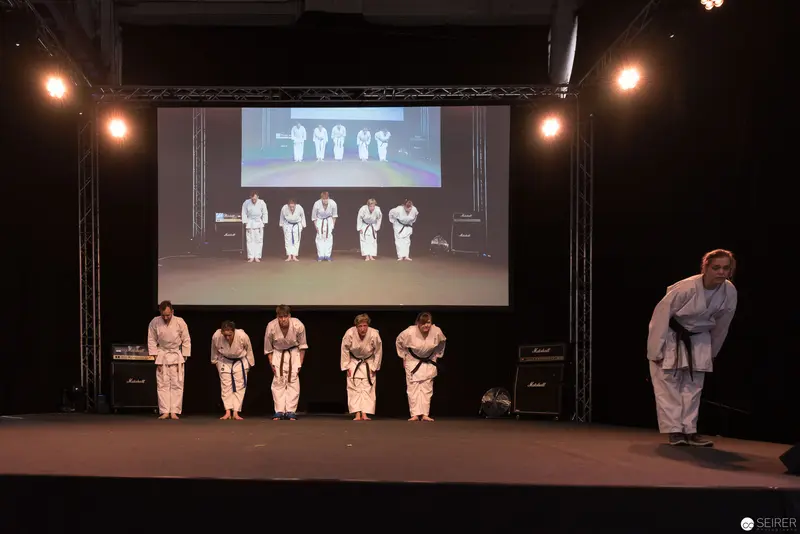 Martial Arts Performance Featuring Synchronized Practitioners on Stage