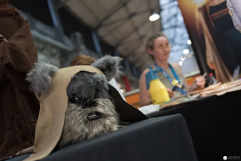 Costumed Canine Companion at Performance Event Amid Backstage Environment
