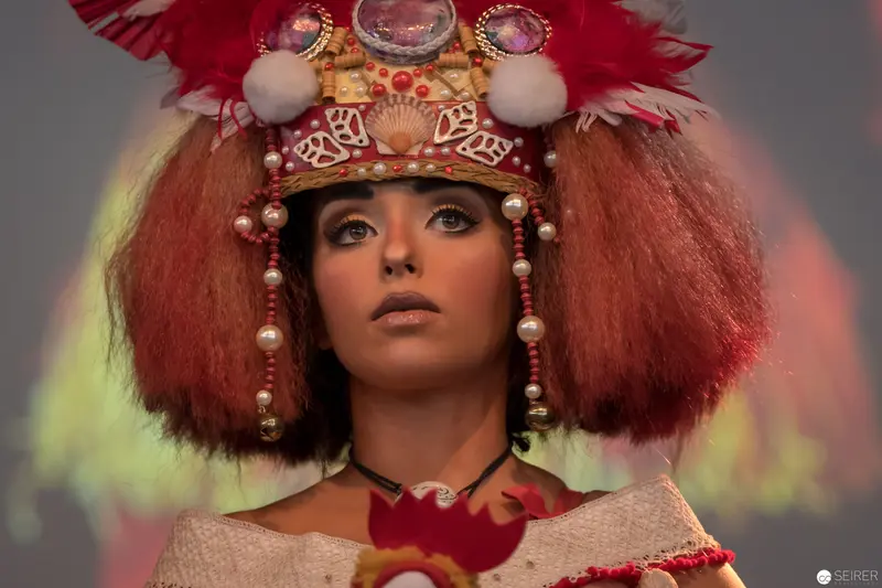Elaborately Costumed Performer in Crimson Headdress with Ornate Feathered Crown