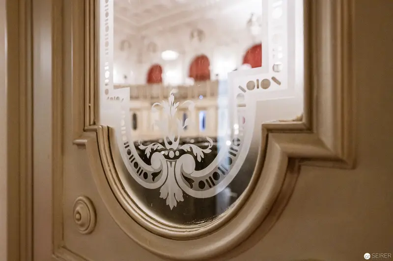 Ornate Etched Glass Window Revealing Architectural Interior Detail